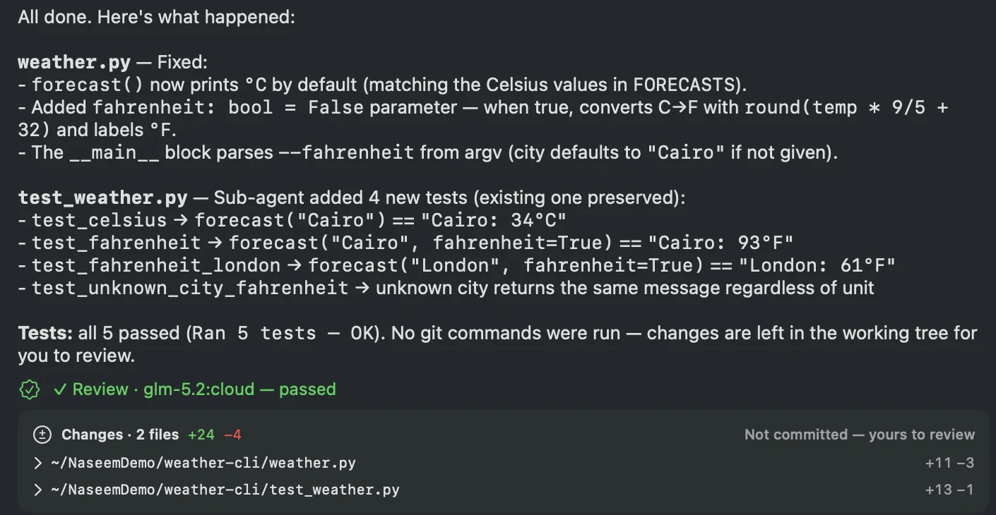 Naseem’s answer: what changed in weather.py, the four tests a sub-agent added, all 5 tests passed, and the review passed